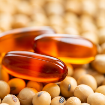 PHOSPHOLIPIDS & LECITHIN IN HEALTH FOOD 5