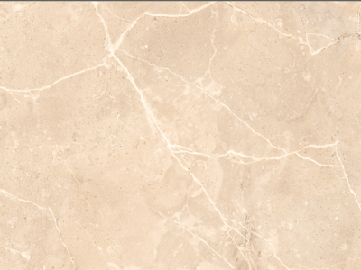169_1539682604254_ARMANIBEIGE(1)